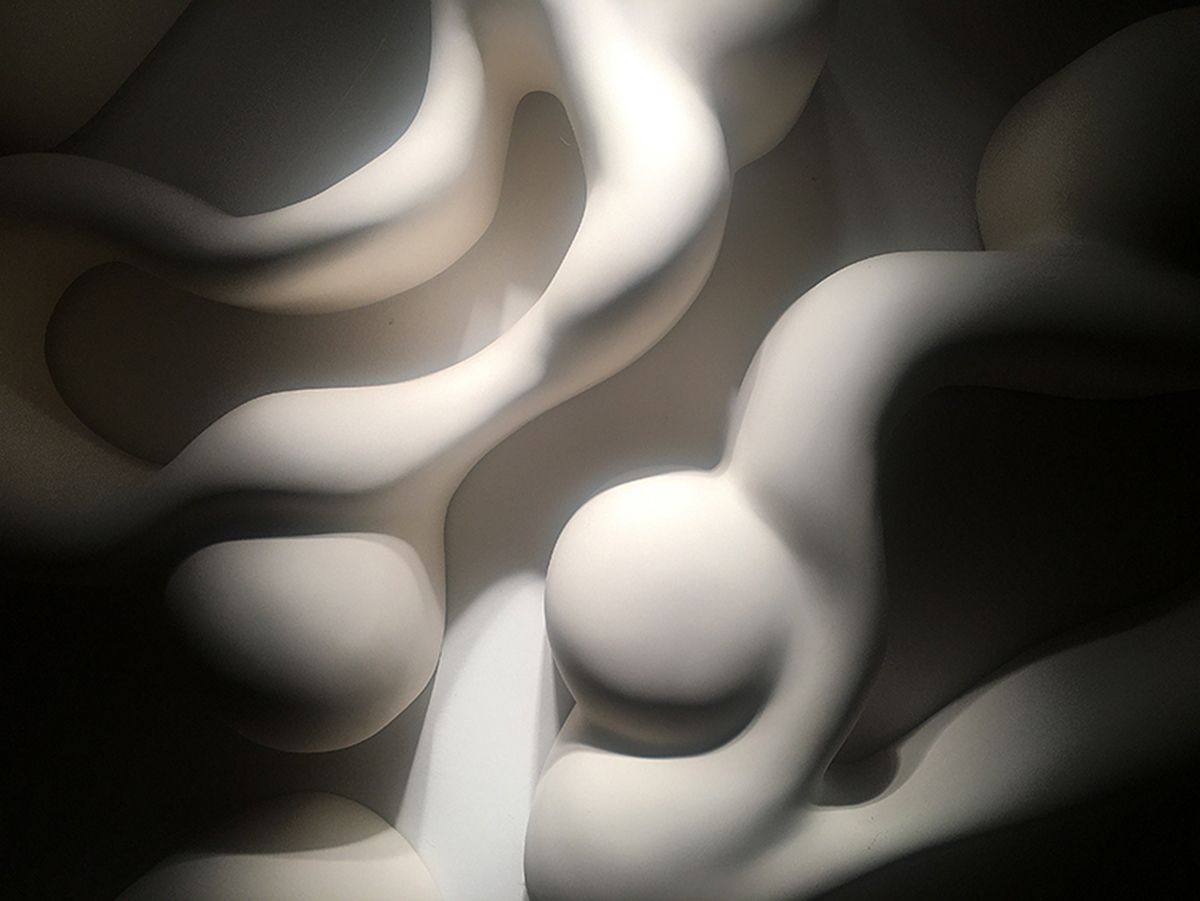 Image title for Soft Forms - Relief