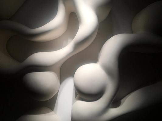 Cover image for Soft Forms - Relief