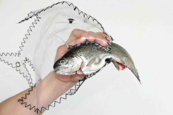 Cover image for Predatory fish puppets