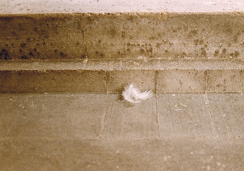 Image title for Feather bed