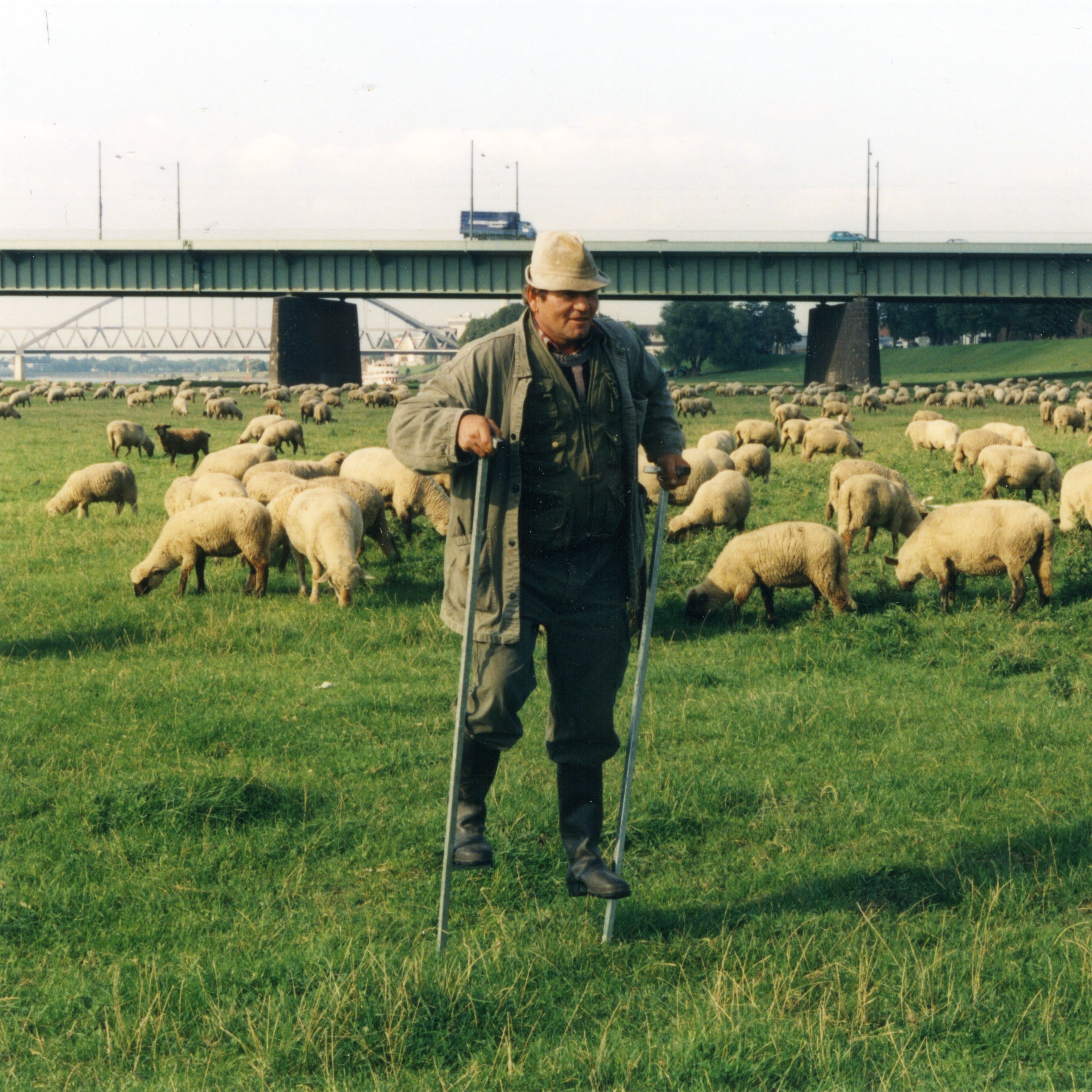 Image title for Stilts