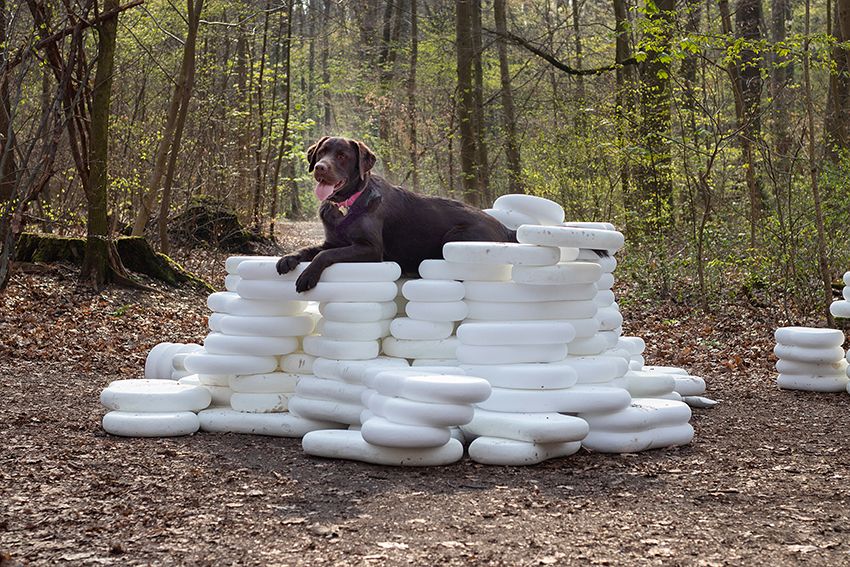 Image title for Dog plinths