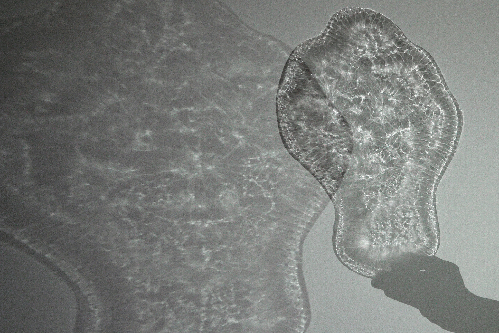 Image title for Mask shadow plays