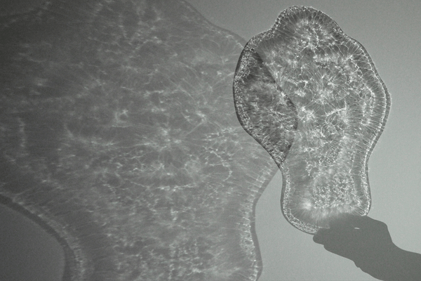 Cover image for Mask shadow plays