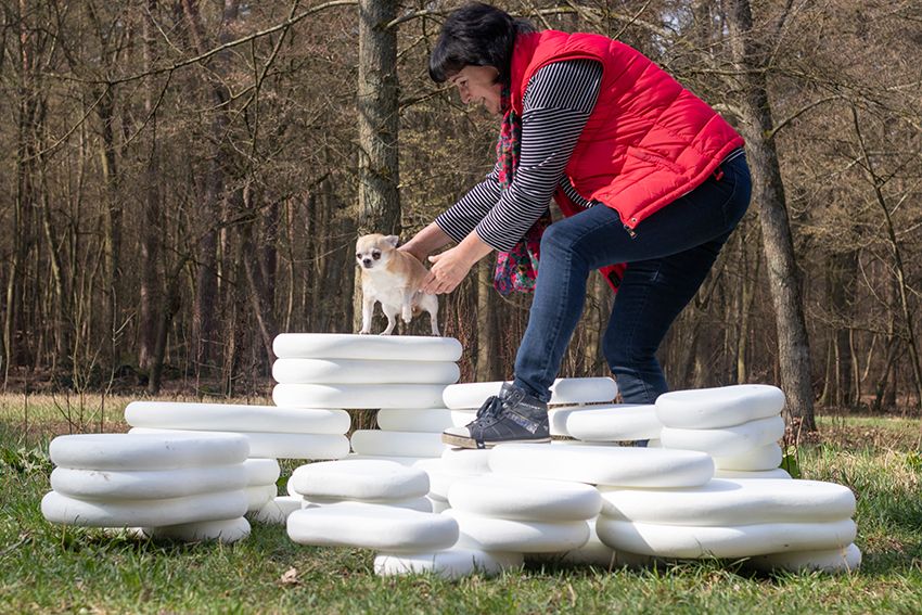 Image title for Dog plinths