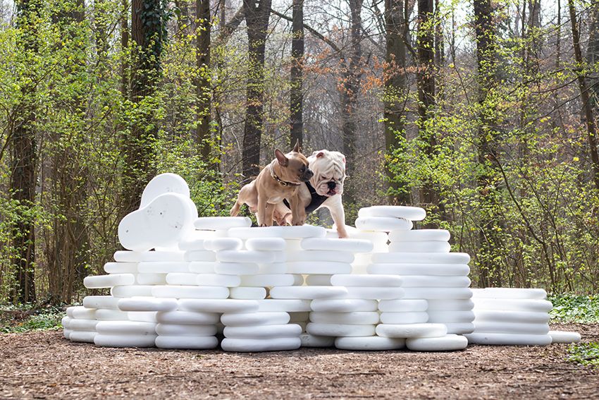 Image title for Dog plinths