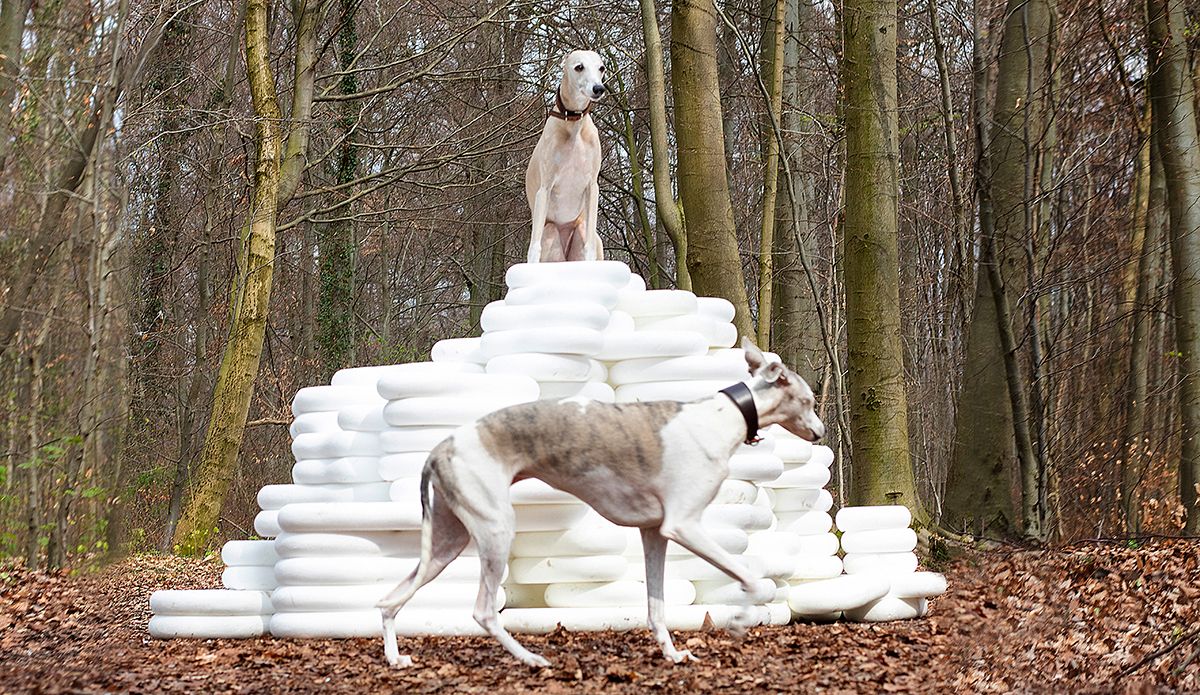 Image title for Dog plinths