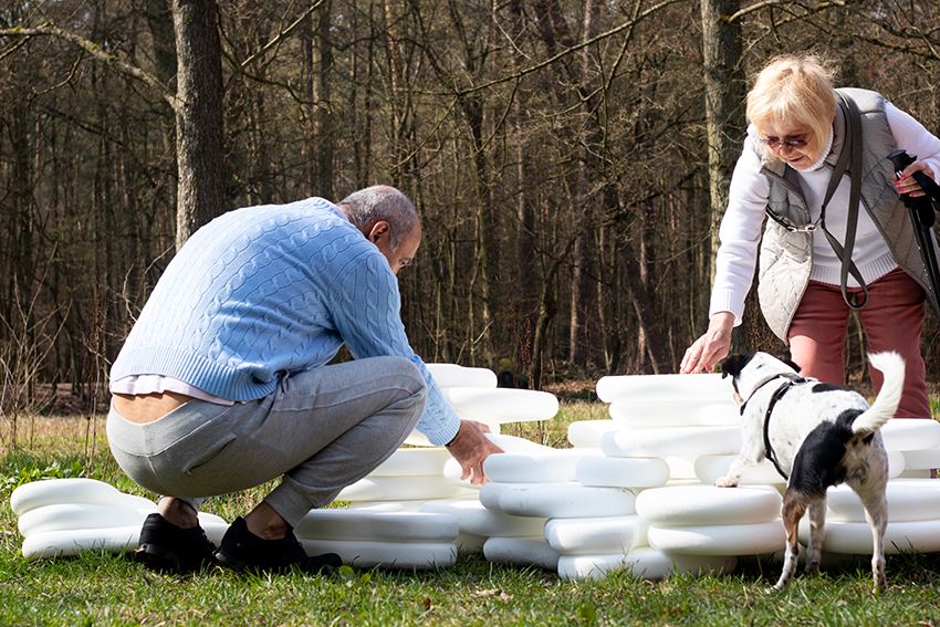 Image title for Dog plinths