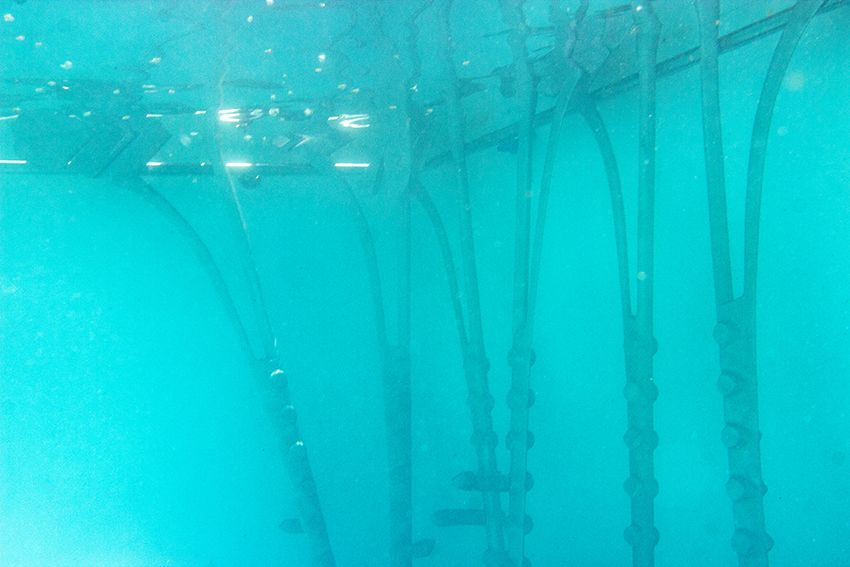 Image title for Underwater stilts