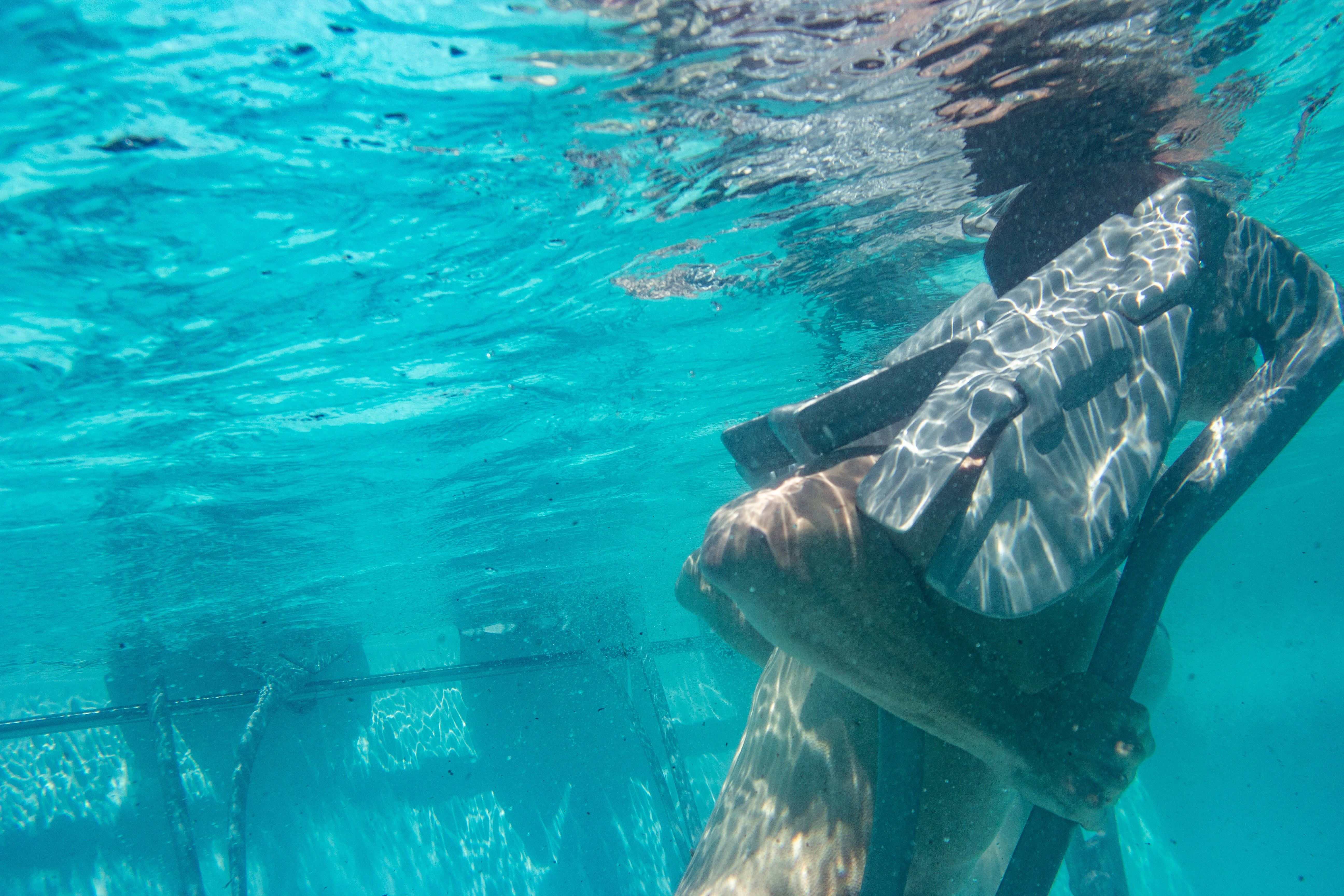 Image title for Underwater stilts