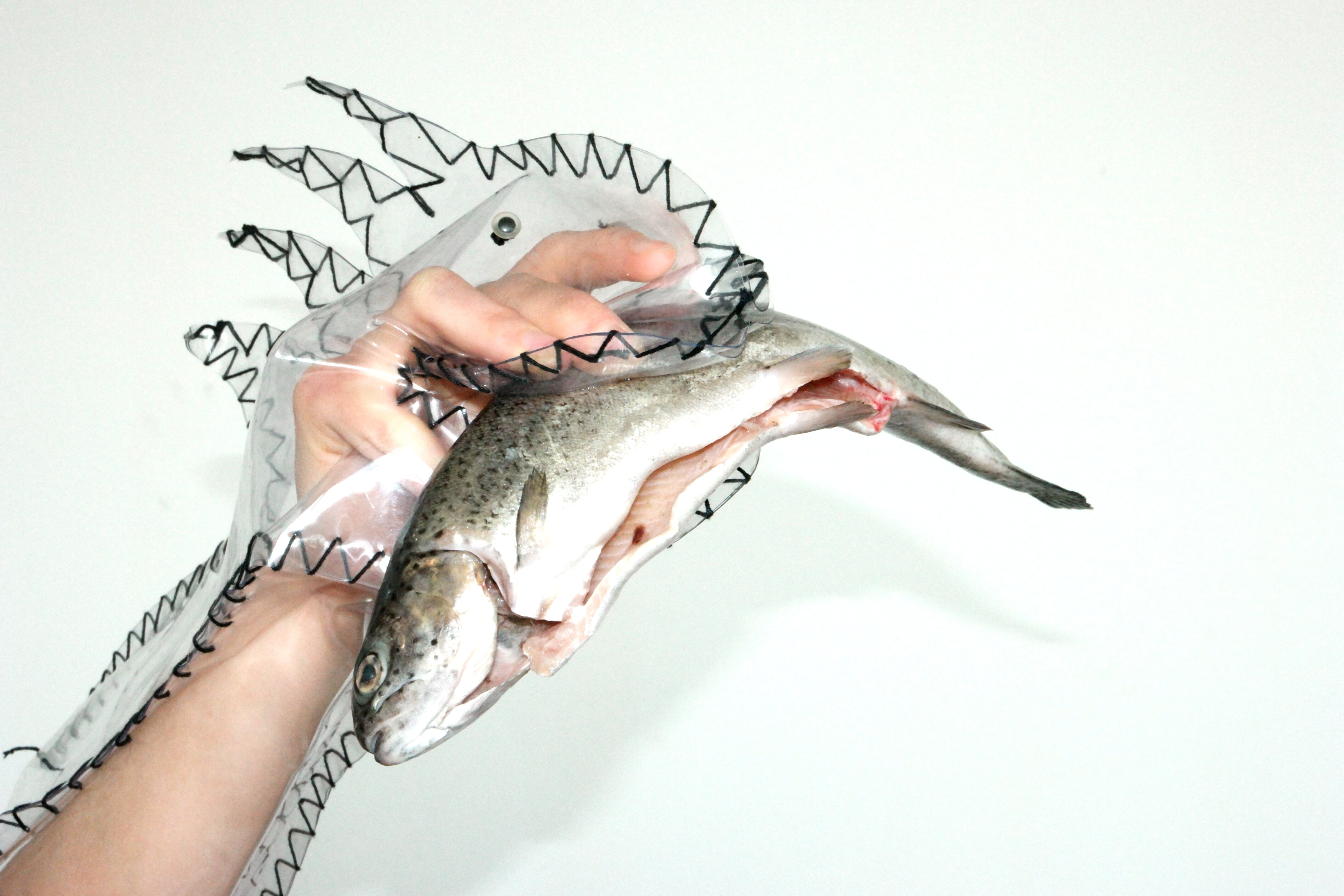Image title for Predatory fish puppets