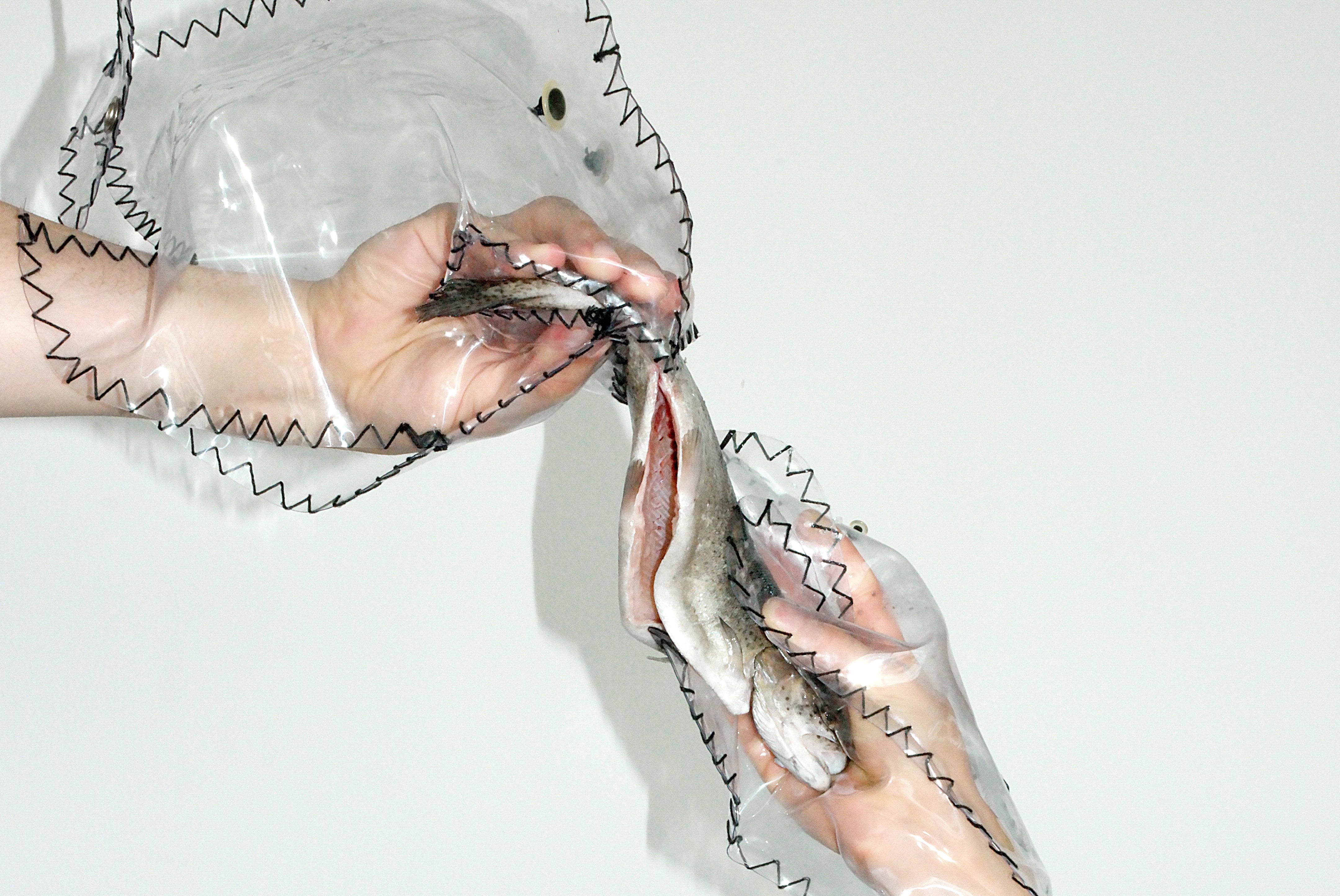 Image title for Predatory fish puppets