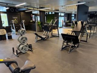 Gallery image 11