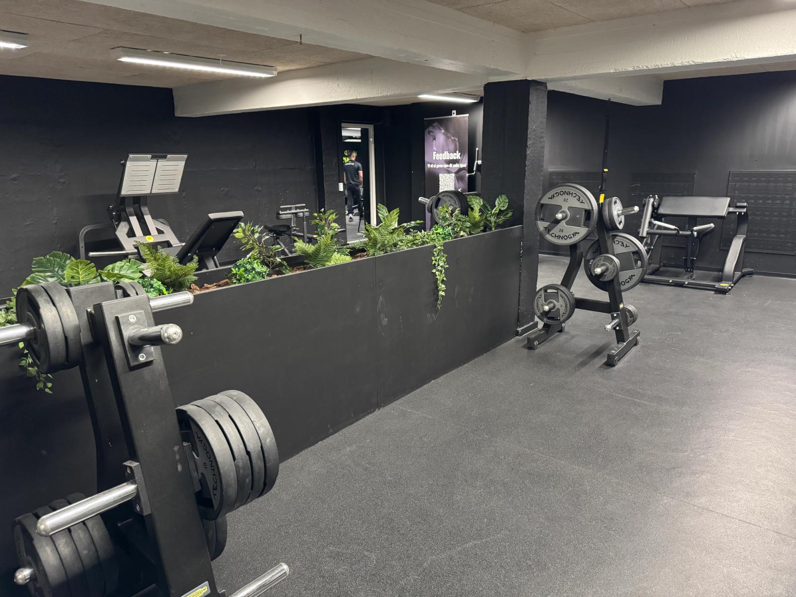 Gallery image 5