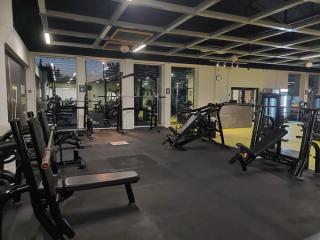 Gallery image 1