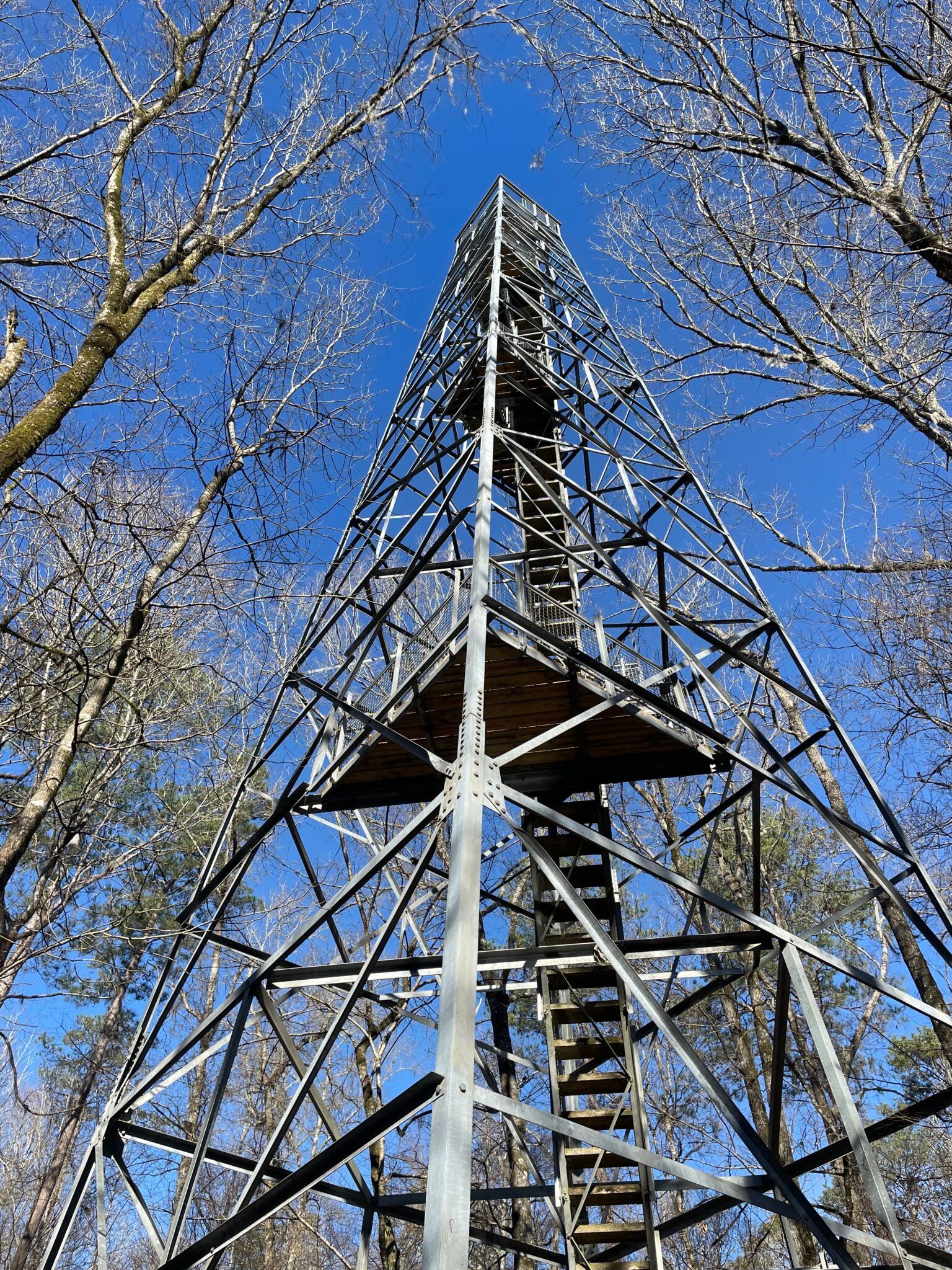 Birding Tower in Winter. Photo: Daniel Fuller
