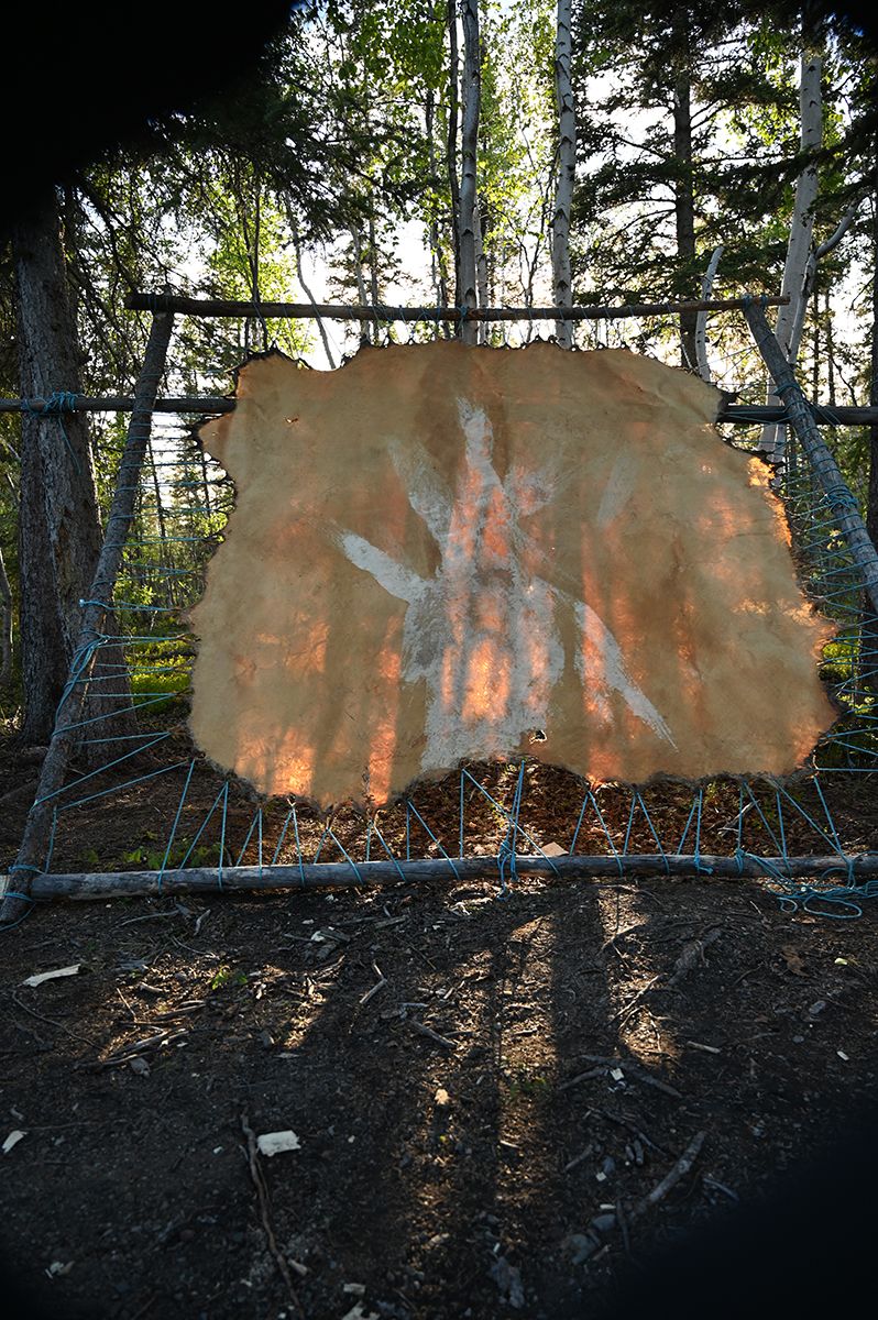 moose hide tanning in process