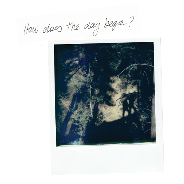 Polaroid photograph of the shadows of two people standing outdoors amidst trees with a handwritten note which reads "How does the day begin?"