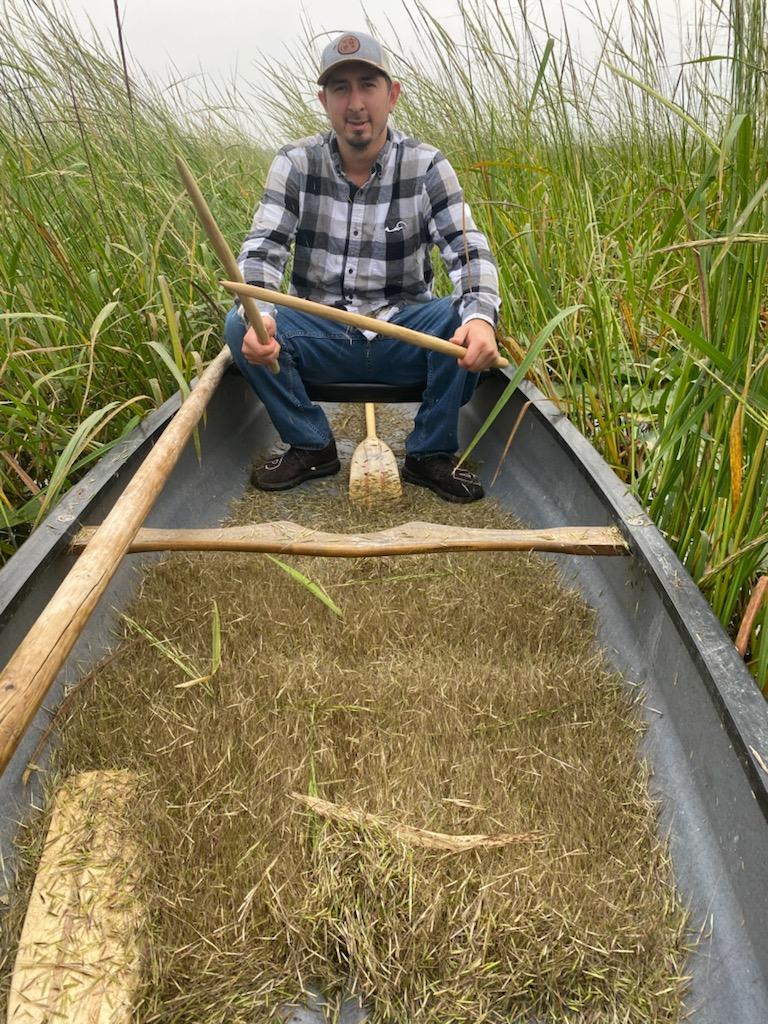 A man in a flannel shirt sitting at the back of a canoe filled with wild rice, green rice stalks fill the background
