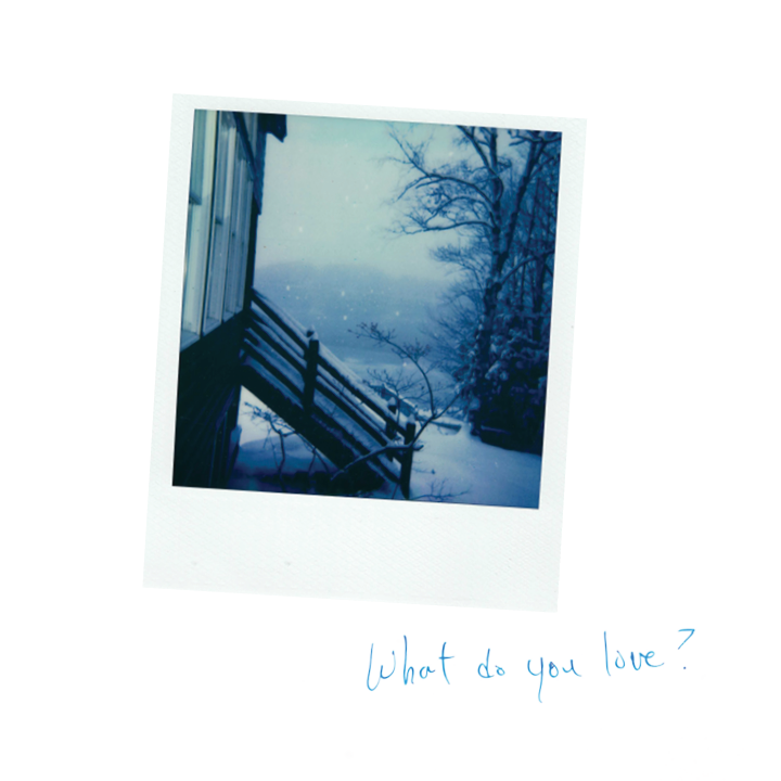 Polaroid photograph of the exterior of a house and trees in winter