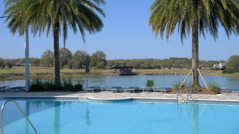 A pristine pool with two large palm trees overlooking a lake.