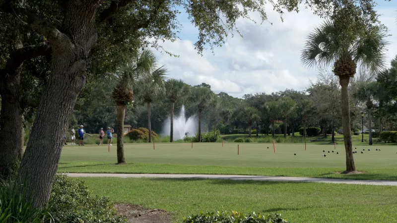 Golfers at Pelican Preserve enjoy a sunny day on the green with a fountain in the background.