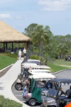 Golf carts parked along sidewalk with tiki bar in the background.