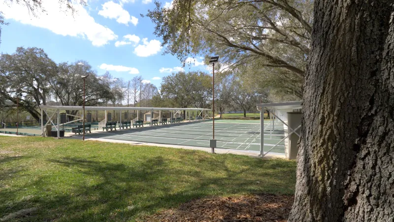 Several outdoor shuffleboard courts lined up next to each other surrounded by greenery and mature trees at Plantation at Leesburg.