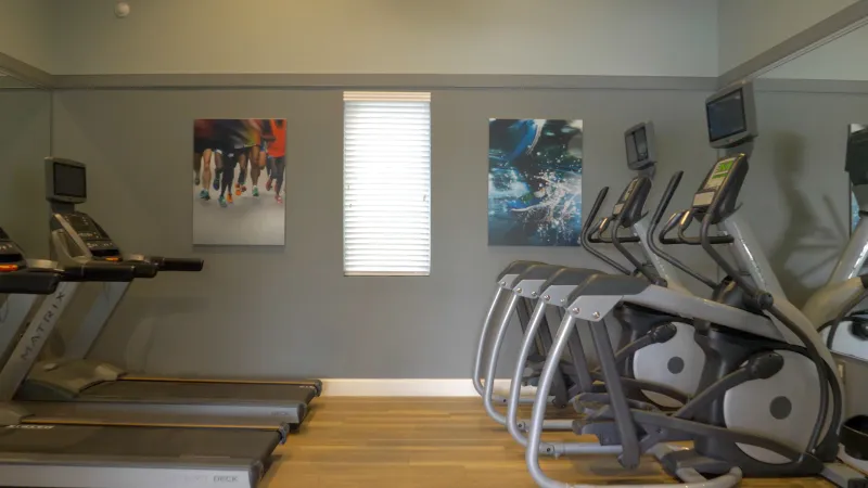A corner of a fitness room featuring treadmills and elliptical machines.