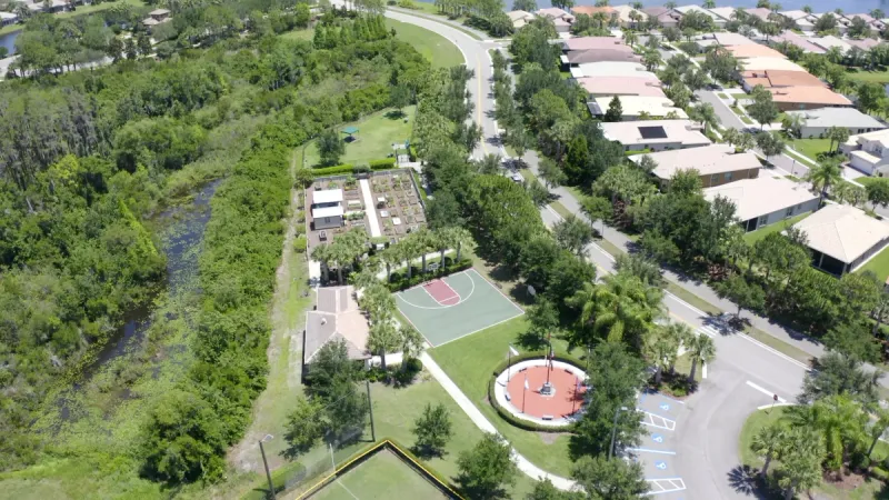 Valencia Lakes basketball court surrounded by foliage and landscaping.