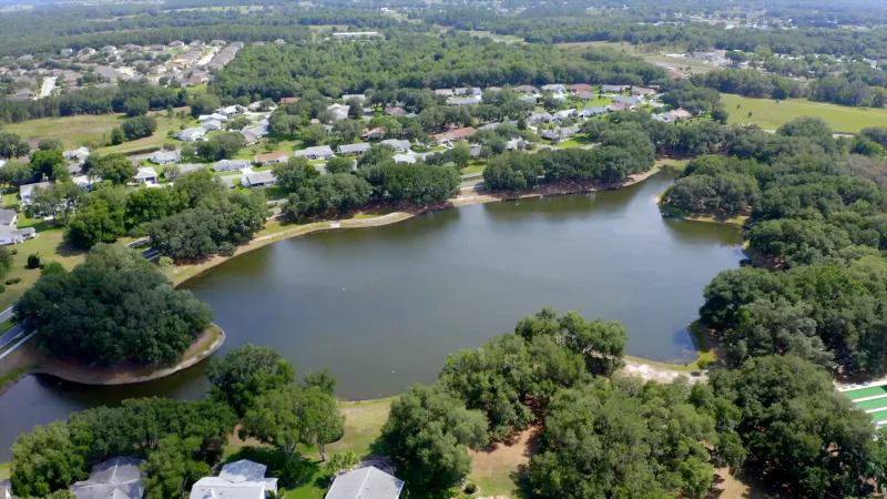 Serene lake surrounded by large trees and homes.