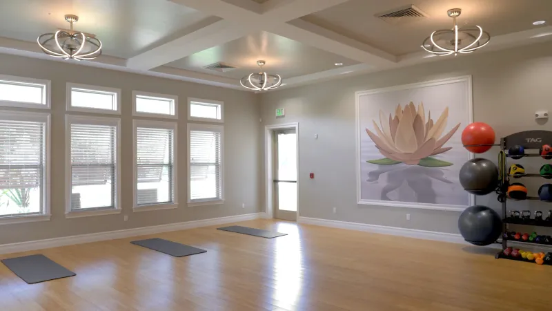 Yoga room with mats, exercise balls and workout equipment.