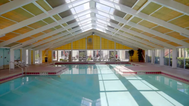 Indoor pool with skylights.