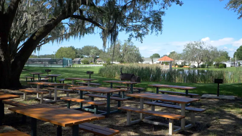 Outdoor picnic area with wooden tables and benches under the shade of a large oak tree.
