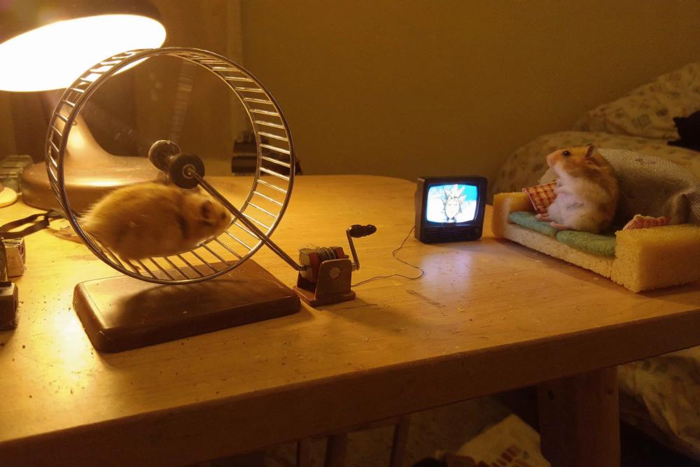 Uni-1 AI thumbnail 2