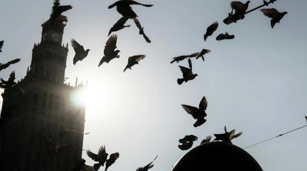 Uni-1 AI thumbnail 5