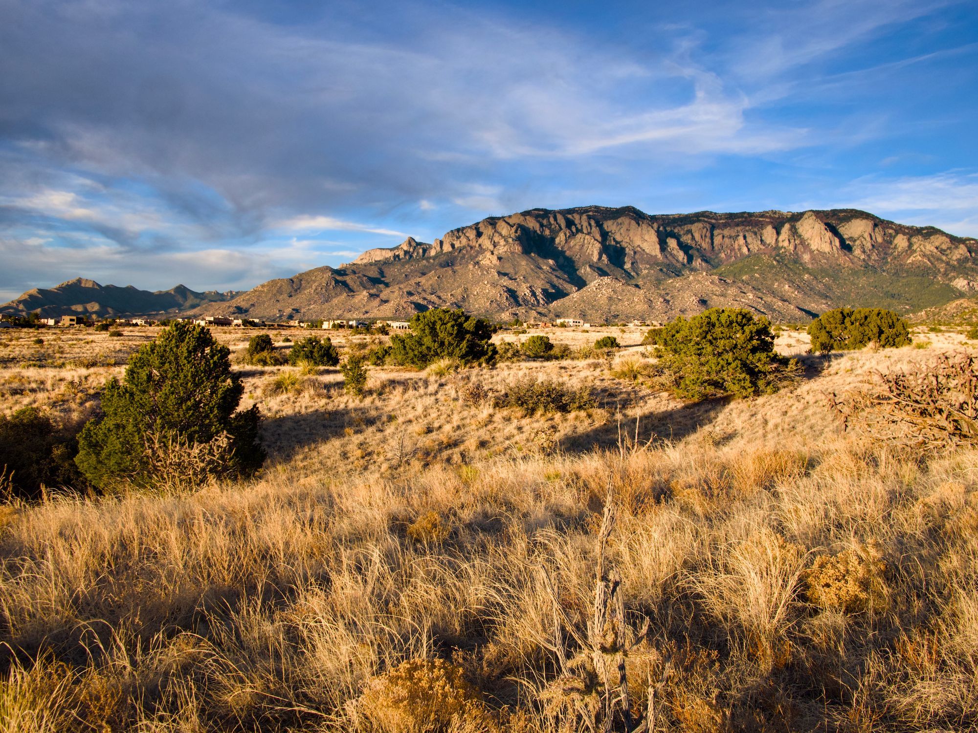 The Sandia Mountains over golden grassland near Albuquerque at sunset.