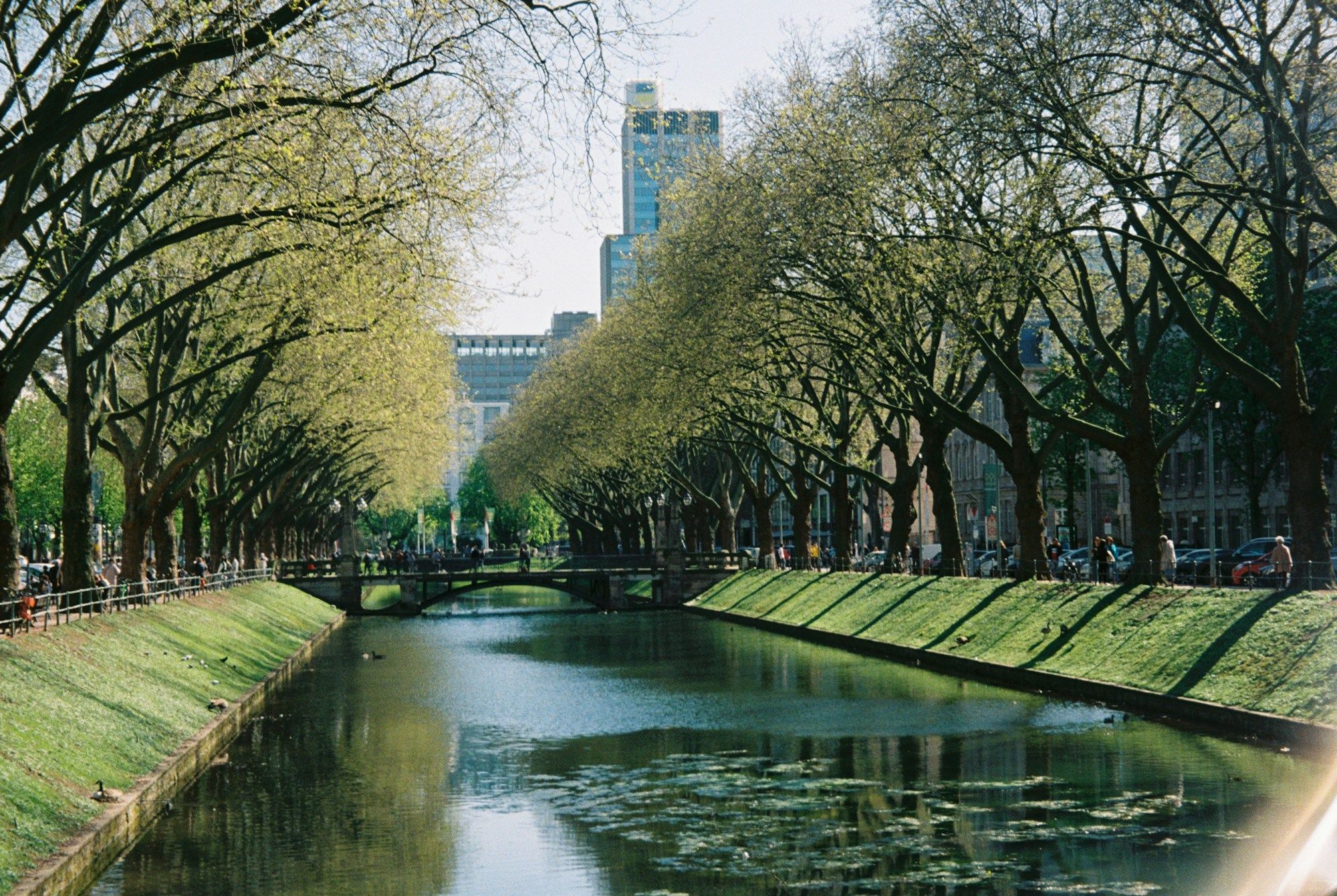 The tree-lined canal along Düsseldorf's Königsallee
