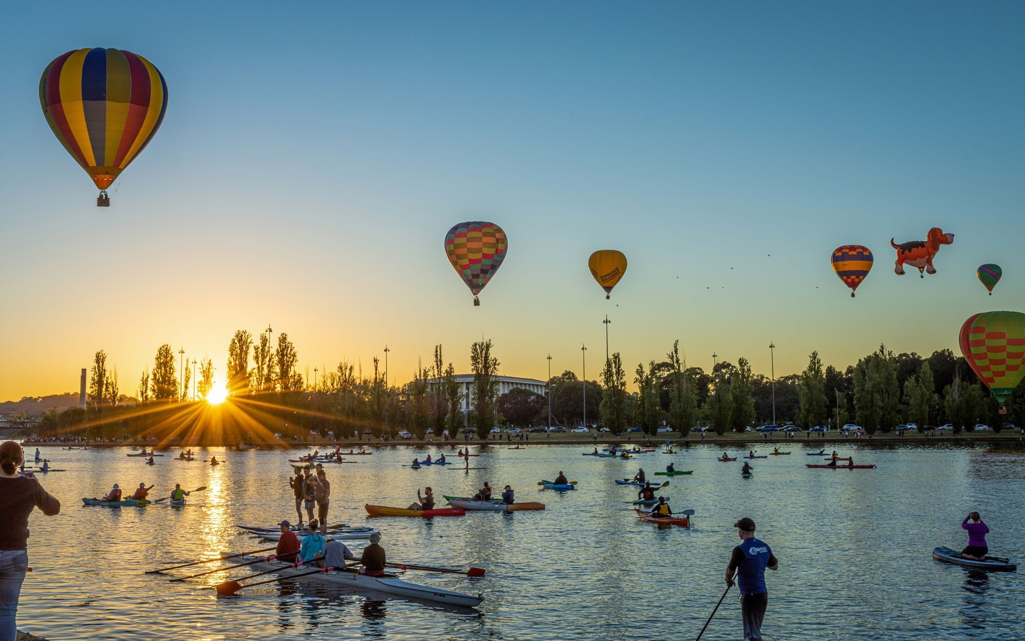 Hot air balloons rising over Lake Burley Griffin at sunrise in Canberra, with paddlers and kayaks on the water.