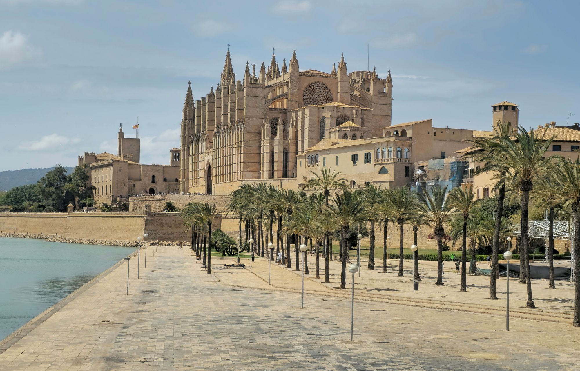 The palm-lined promenade beside the Palma Cathedral in Mallorca.