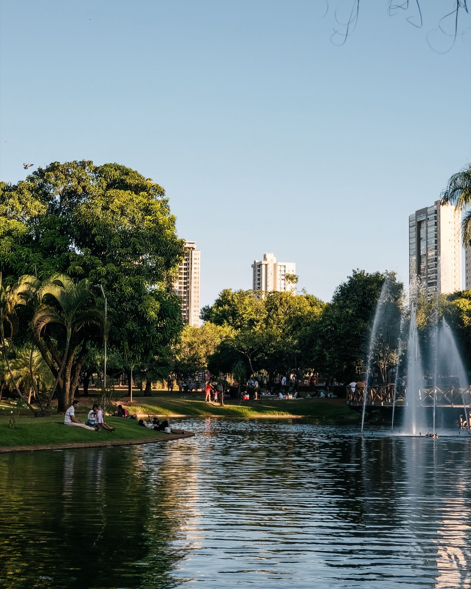 Uma fonte e árvores no Parque Vaca Brava, em Goiânia, sob um céu claro.