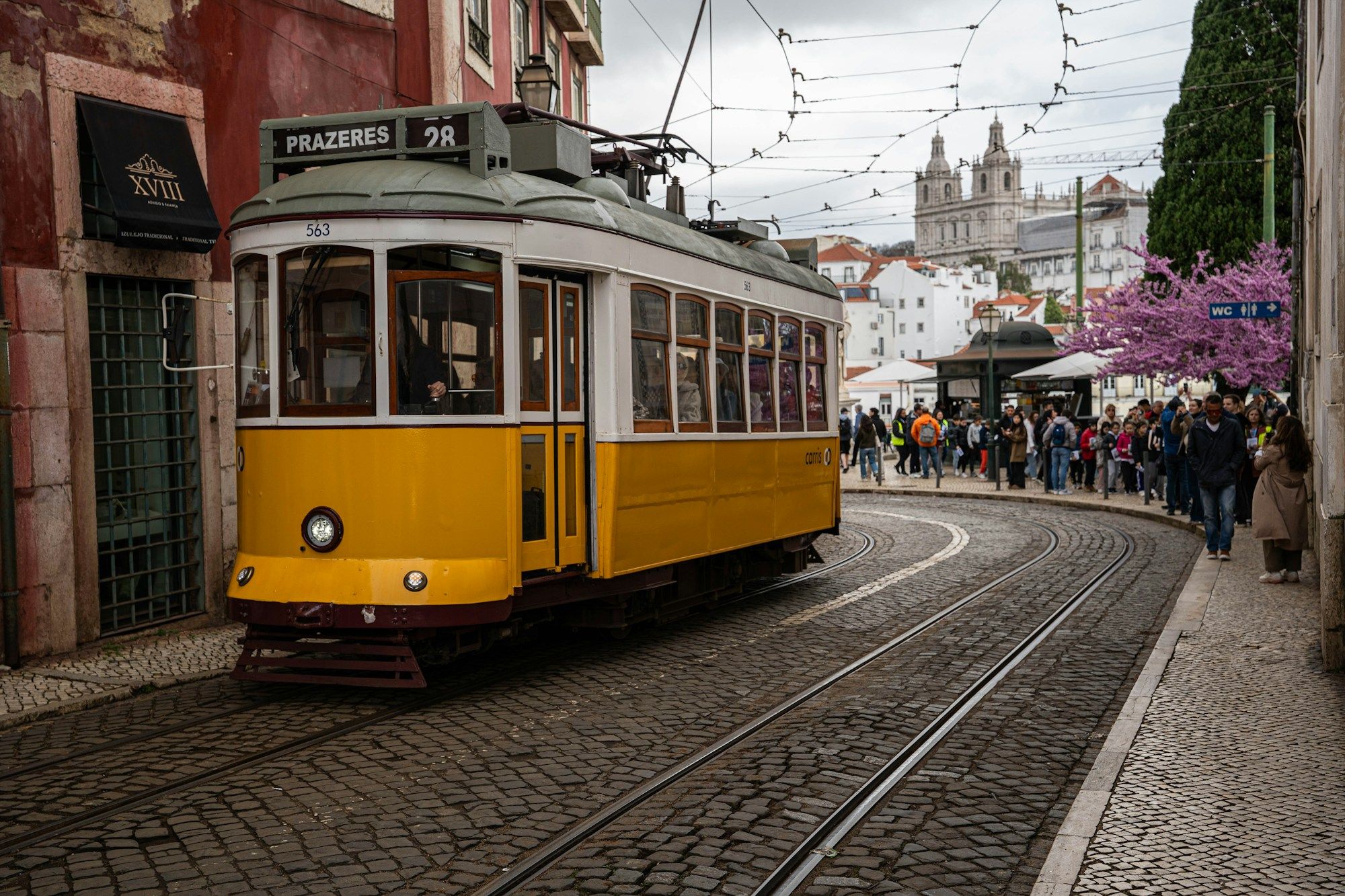 A yellow number 28 tram on a cobbled street in Lisbon, with people walking towards the church of São Vicente de Fora and a jacaranda in flower.