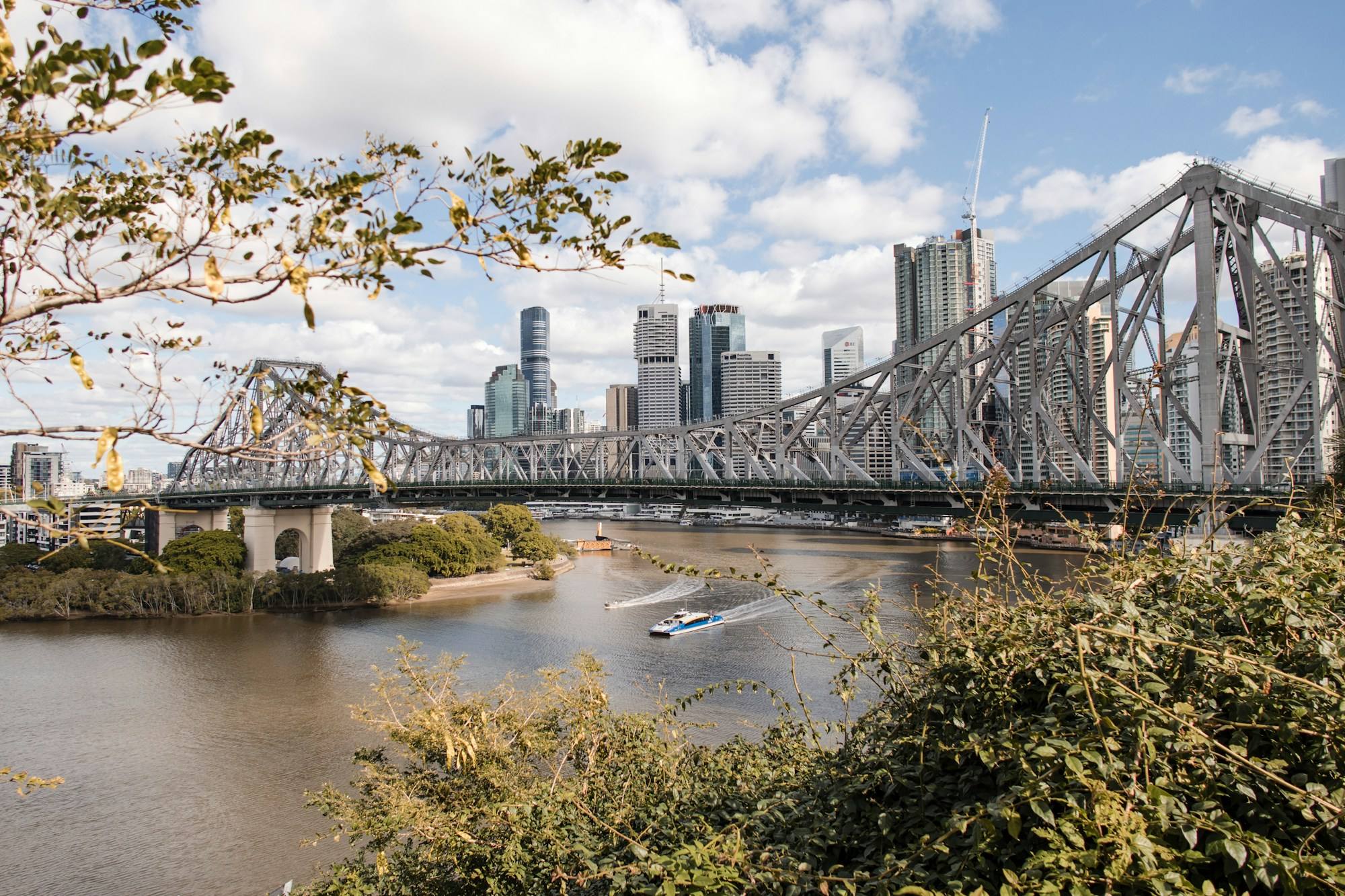 The Story Bridge crossing the Brisbane River in Brisbane, with the city towers behind it and tree branches in the foreground.