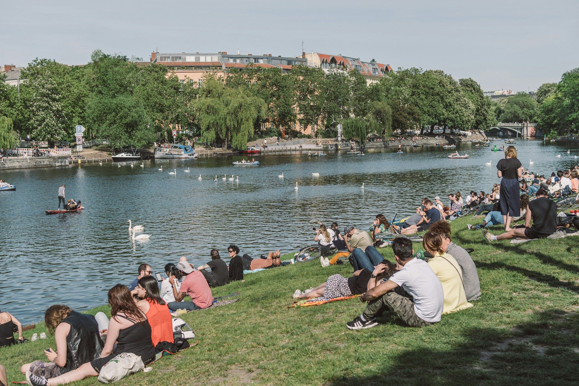 People sitting on the grass beside the Landwehrkanal in Berlin, with swans on the water and trees on the far bank.