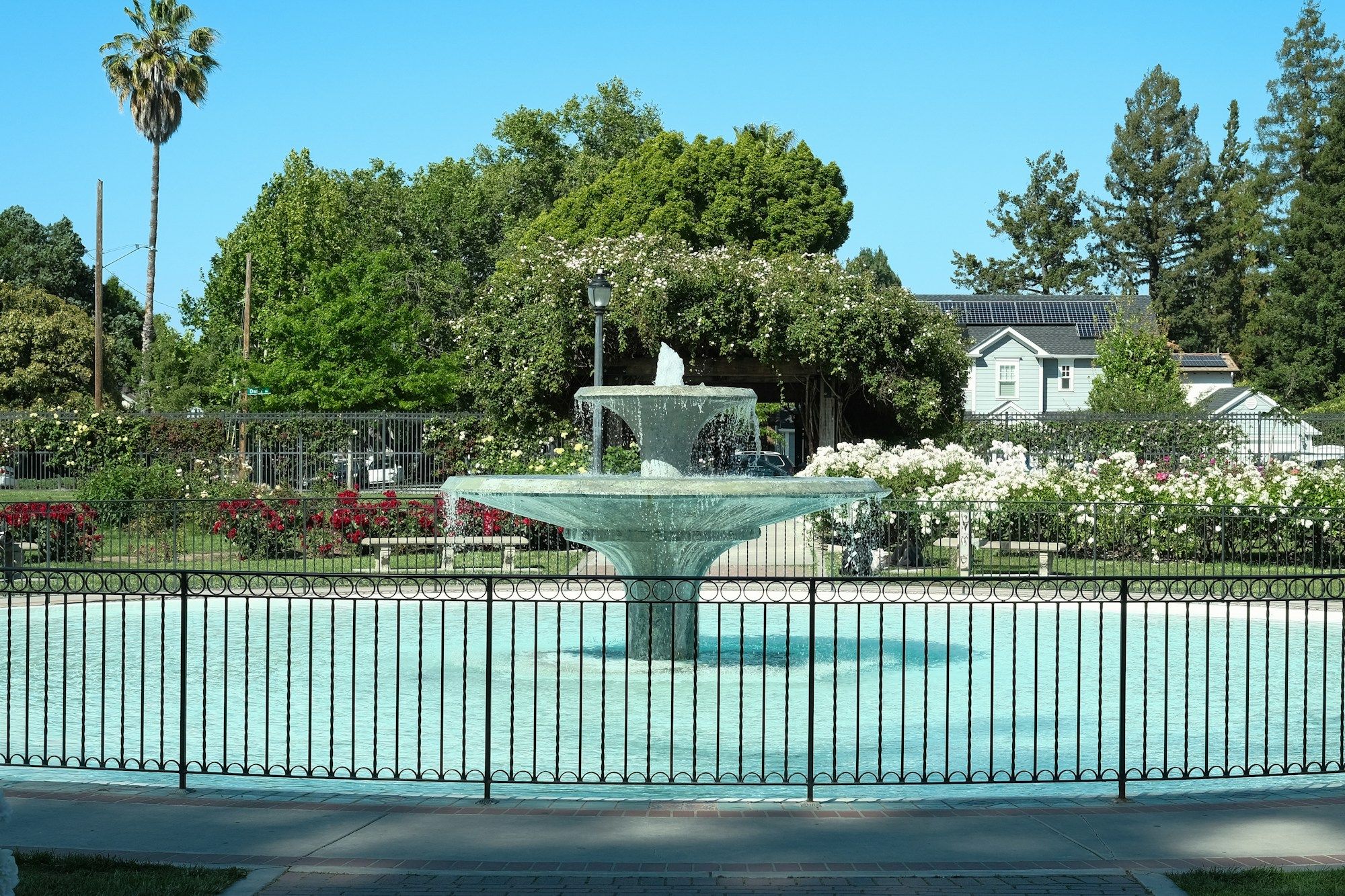 The fountain at the Municipal Rose Garden in San Jose, surrounded by rose beds and trees.