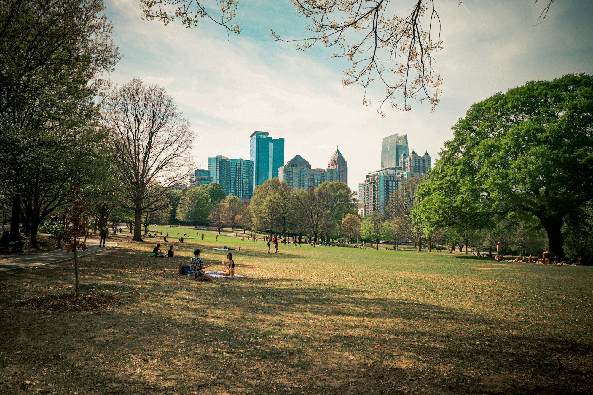 People sitting on the grass in Piedmont Park in Atlanta, with the Midtown skyline beyond the trees.