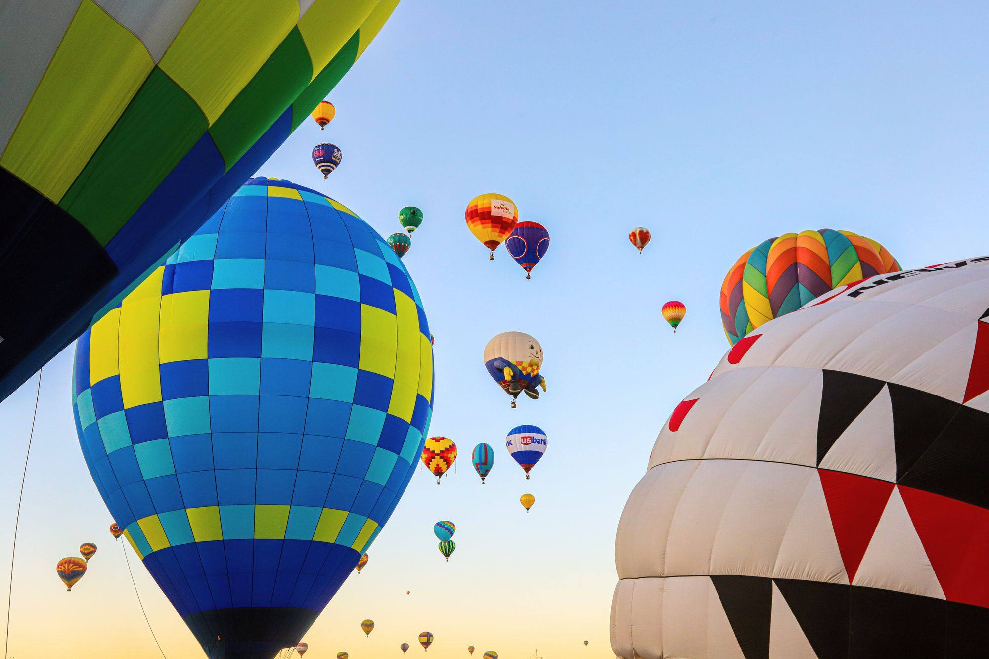 Hot air balloons rising into the morning sky at the Albuquerque Balloon Fiesta.