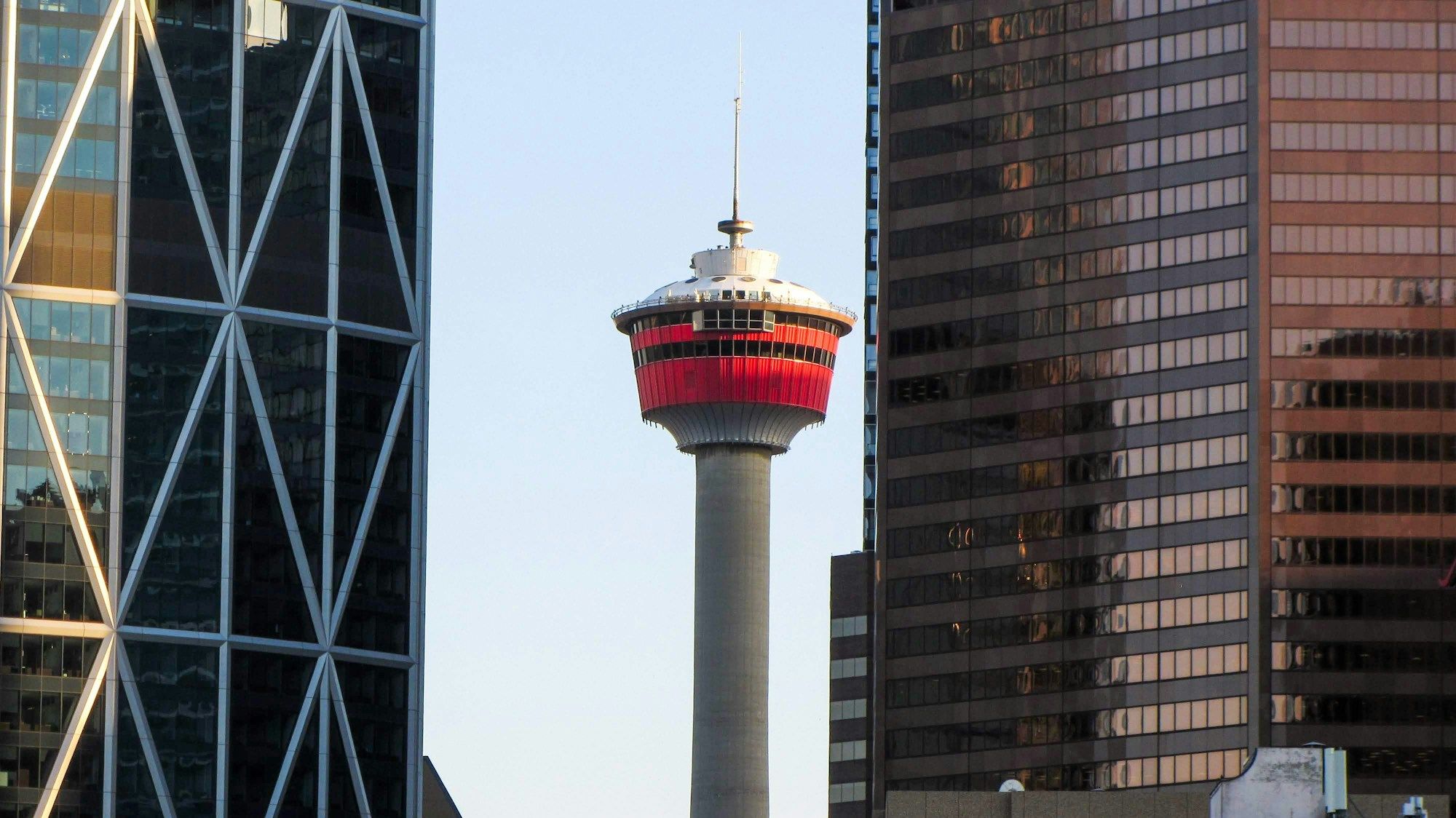 The Calgary Tower between two downtown office towers against a clear blue sky.