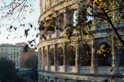 Timeleft Blossoms in Italy: Enchanting Evenings of Community and Cuisine