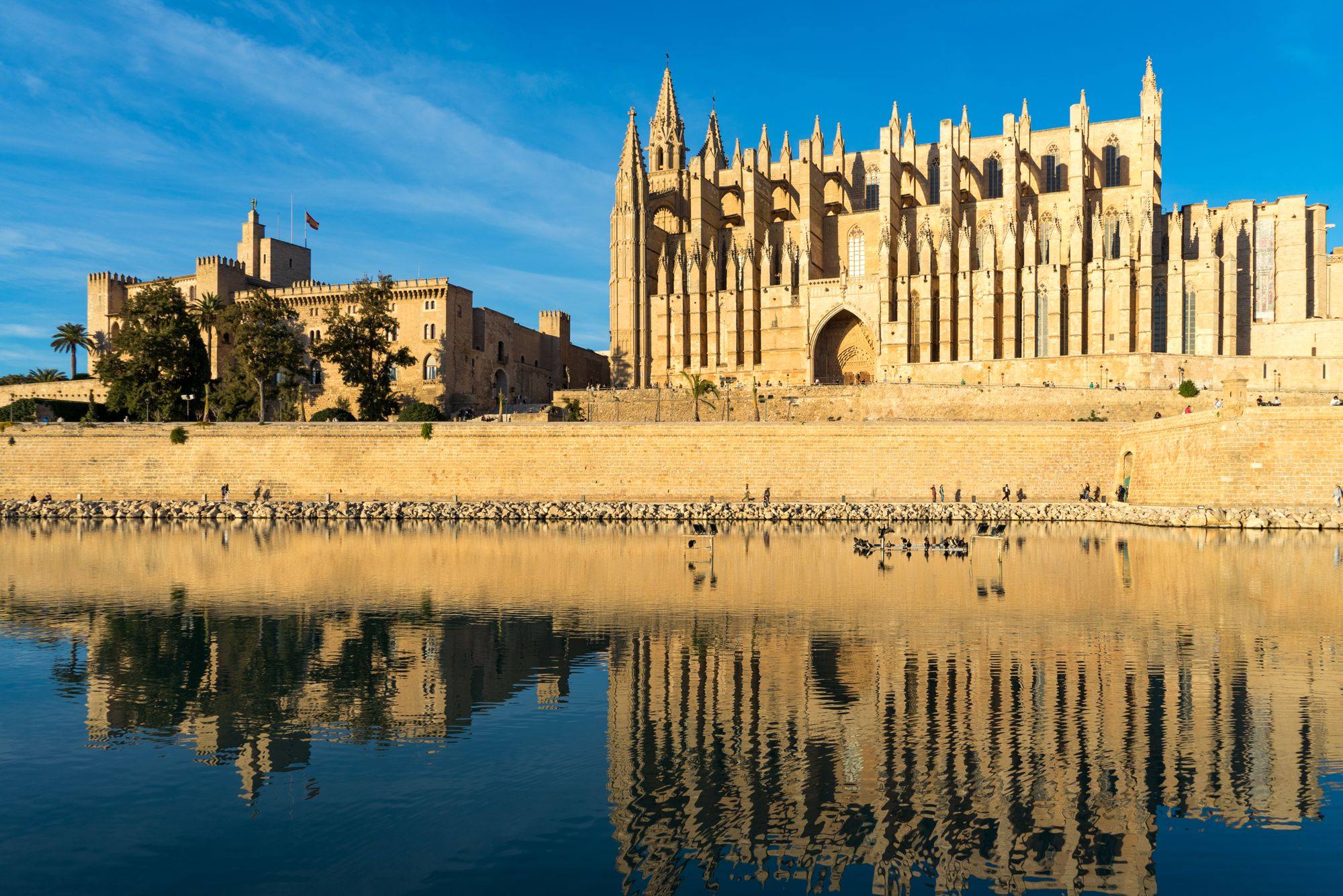 Palma Cathedral reflected in the pool of the Parc de la Mar in Palma de Mallorca, under a blue sky.